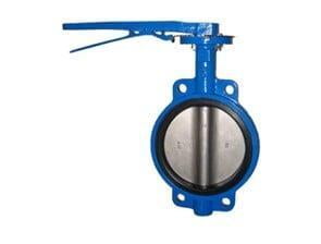 Butterfly Valve